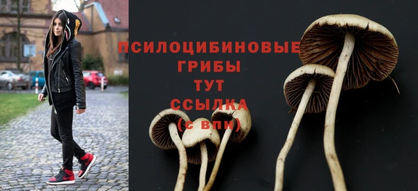 кристаллы Новодвинск