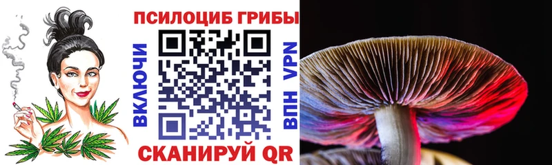 Псилоцибиновые грибы MAGIC MUSHROOMS  Облучье 